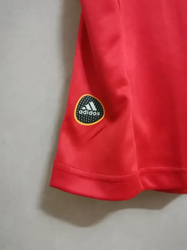 2010 Spain Nation Retro Jersey Home World Cup - 图片 3